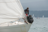 amber haze gbr4177 whyw17 thur gjmc 8799